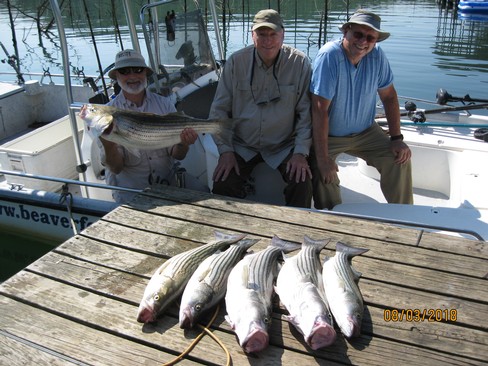 Nice Striped Bass